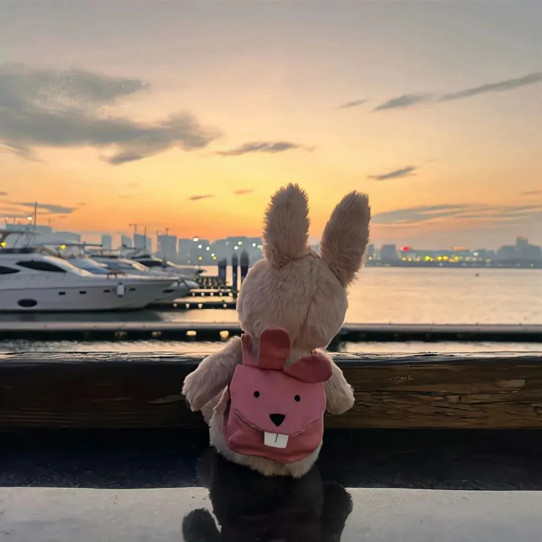 背景图 | 高级背景图