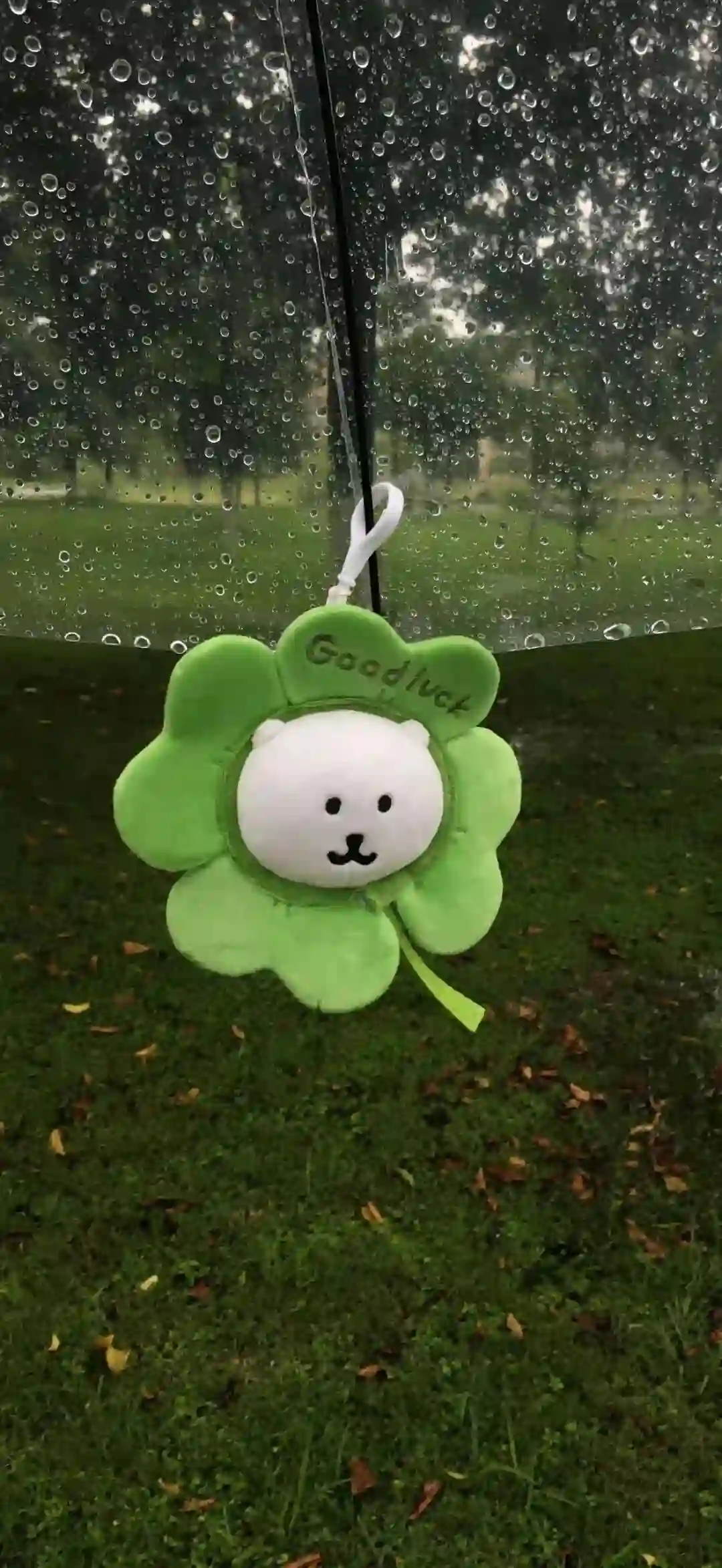 壁纸 | ios全屏手机壁纸