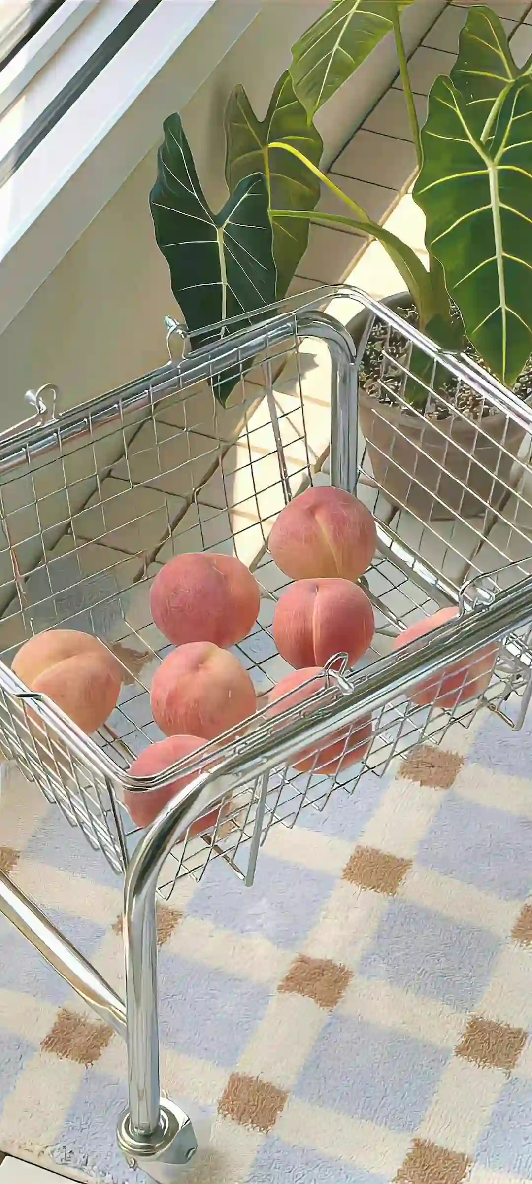 壁纸 | ios全屏手机壁纸