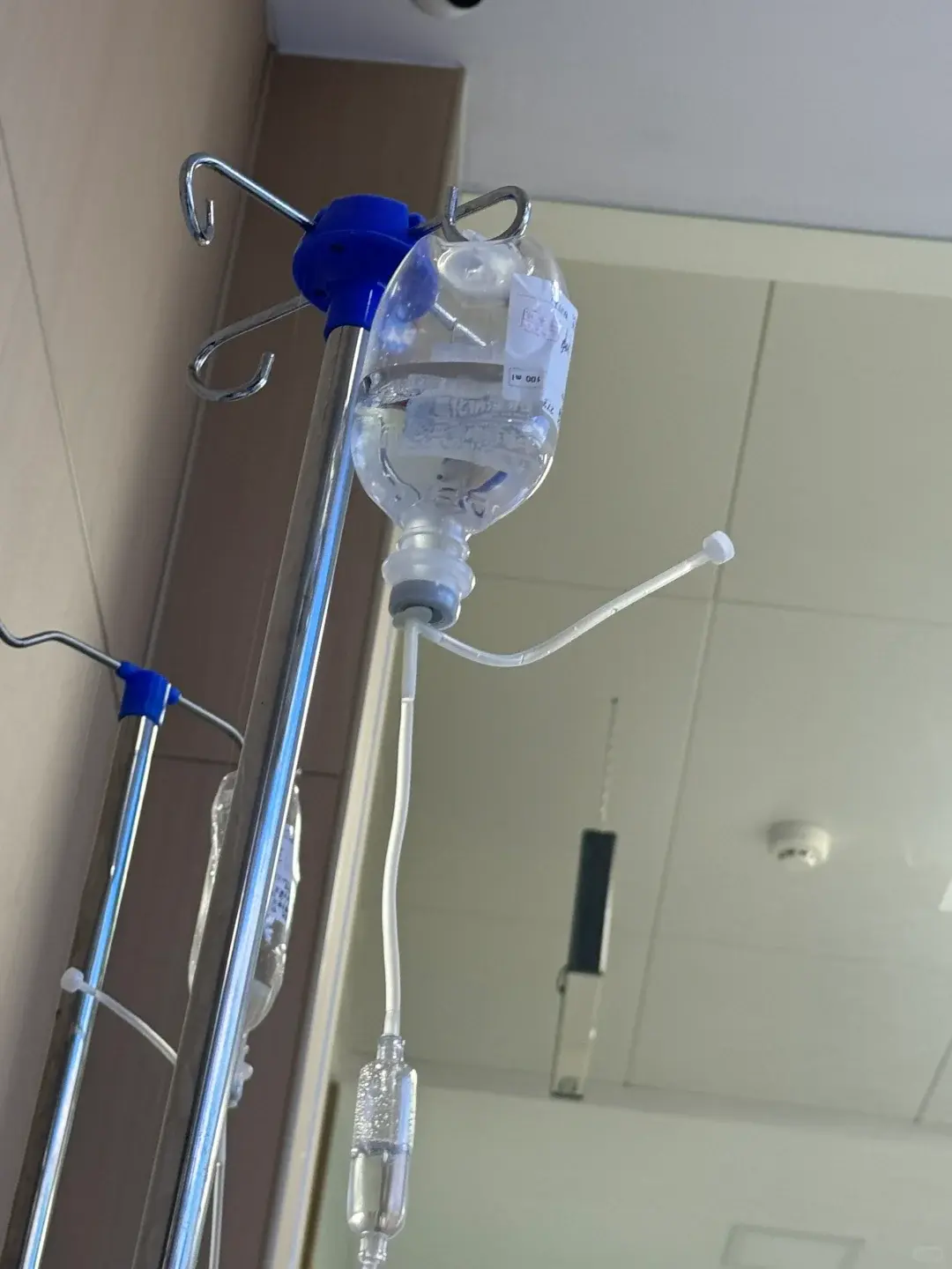 照片 | “100%应付请假的照片”