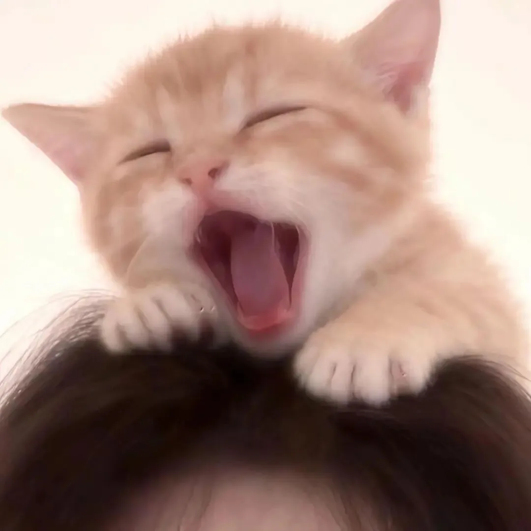 头像｜微信头像40张