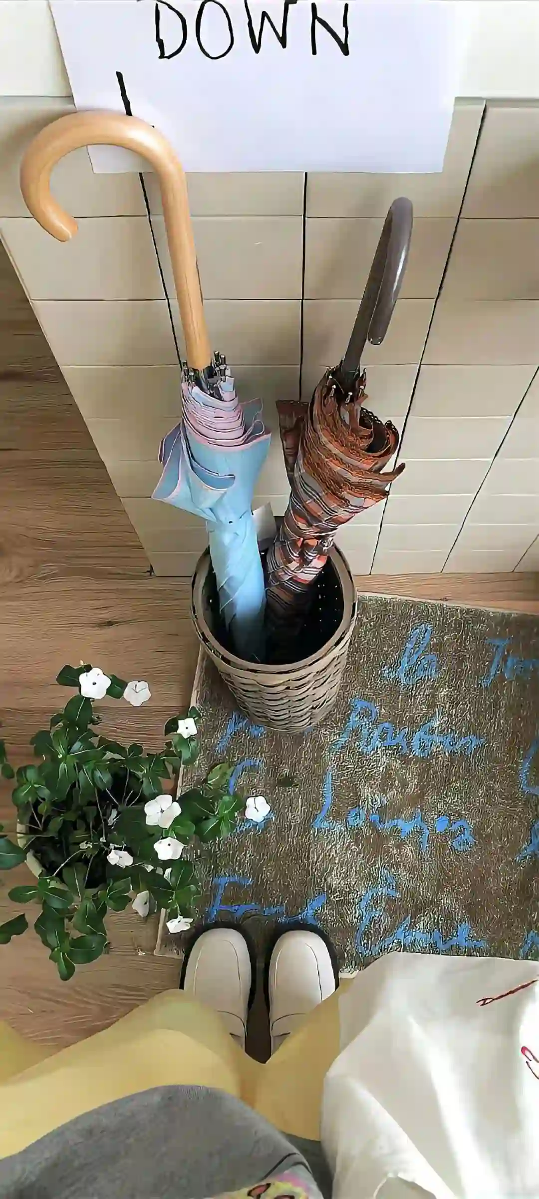 壁纸 ​​​​​​​​​​​​​| 4K全面屏超高清壁纸