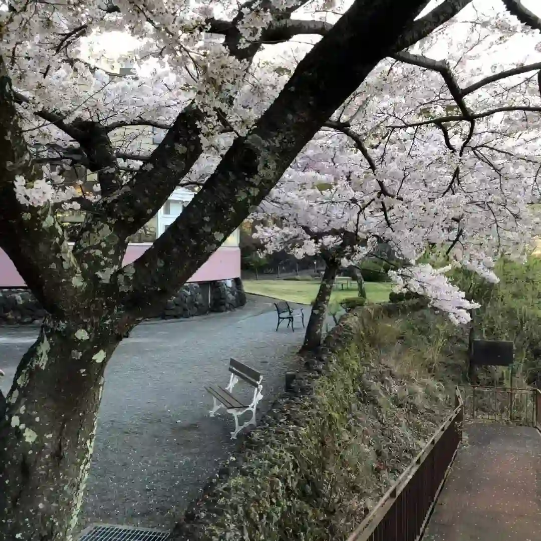 背景图 | 𝑾𝒆𝑪𝒉𝒂𝒕背景图