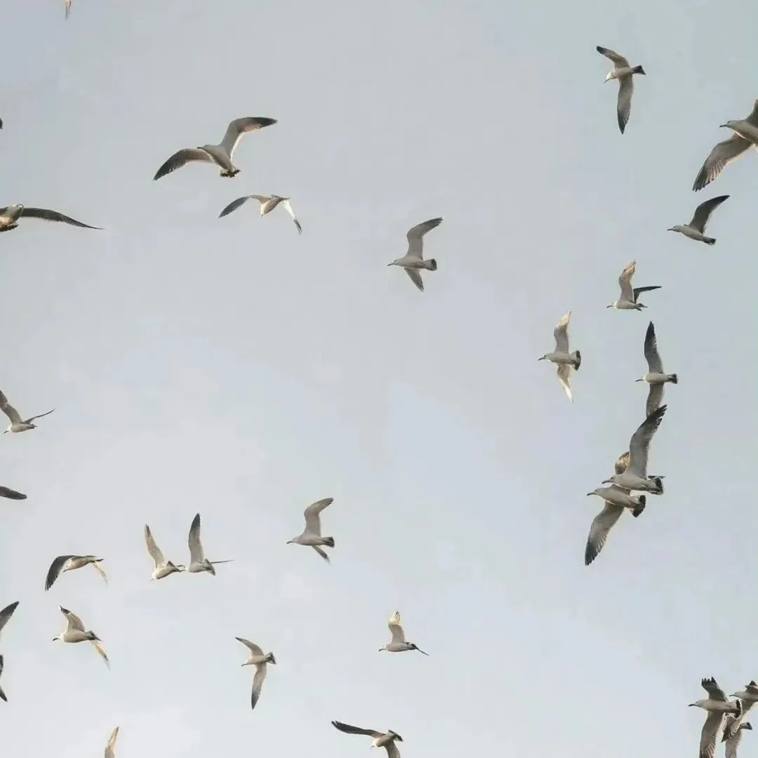 背景图 | 𝑾𝒆𝑪𝒉𝒂𝒕背景图