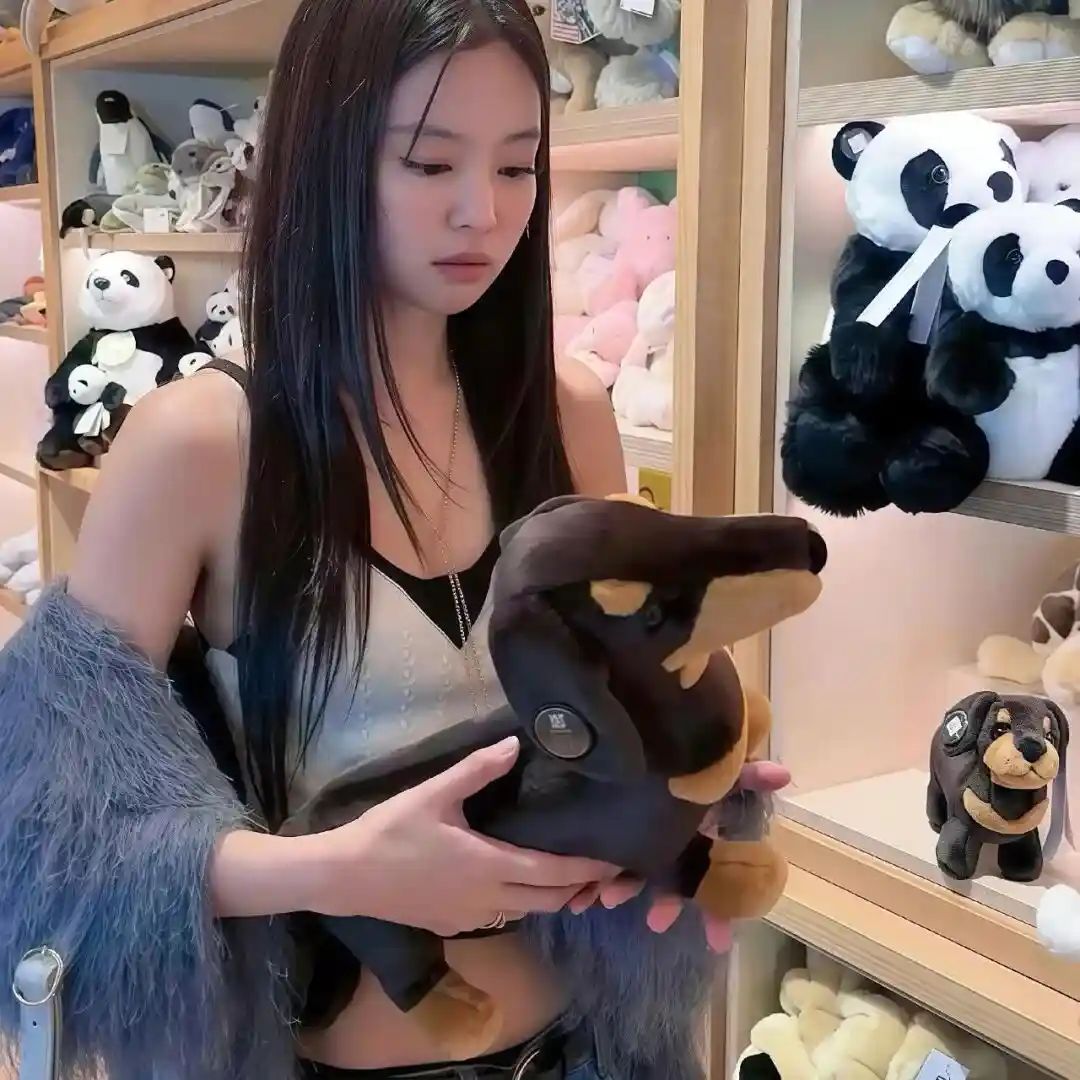 头像｜申请成为你的新头像