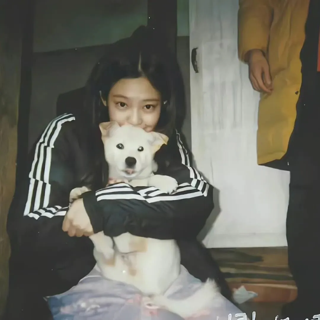 头像｜申请成为你的新头像