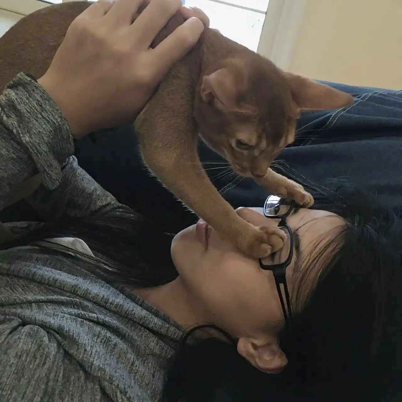 头像｜换个嘎嘎好看的头像