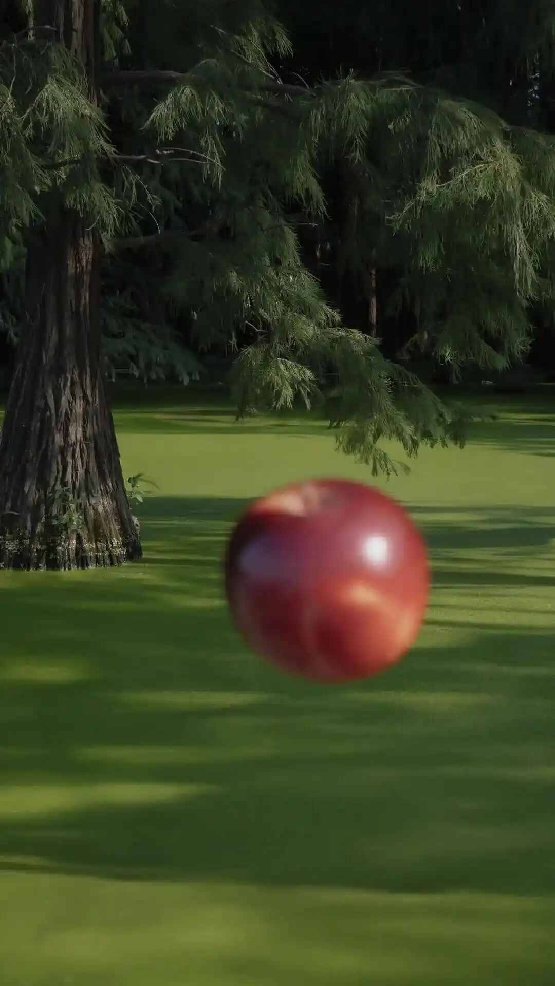 壁纸丨绿色生命力景深壁纸