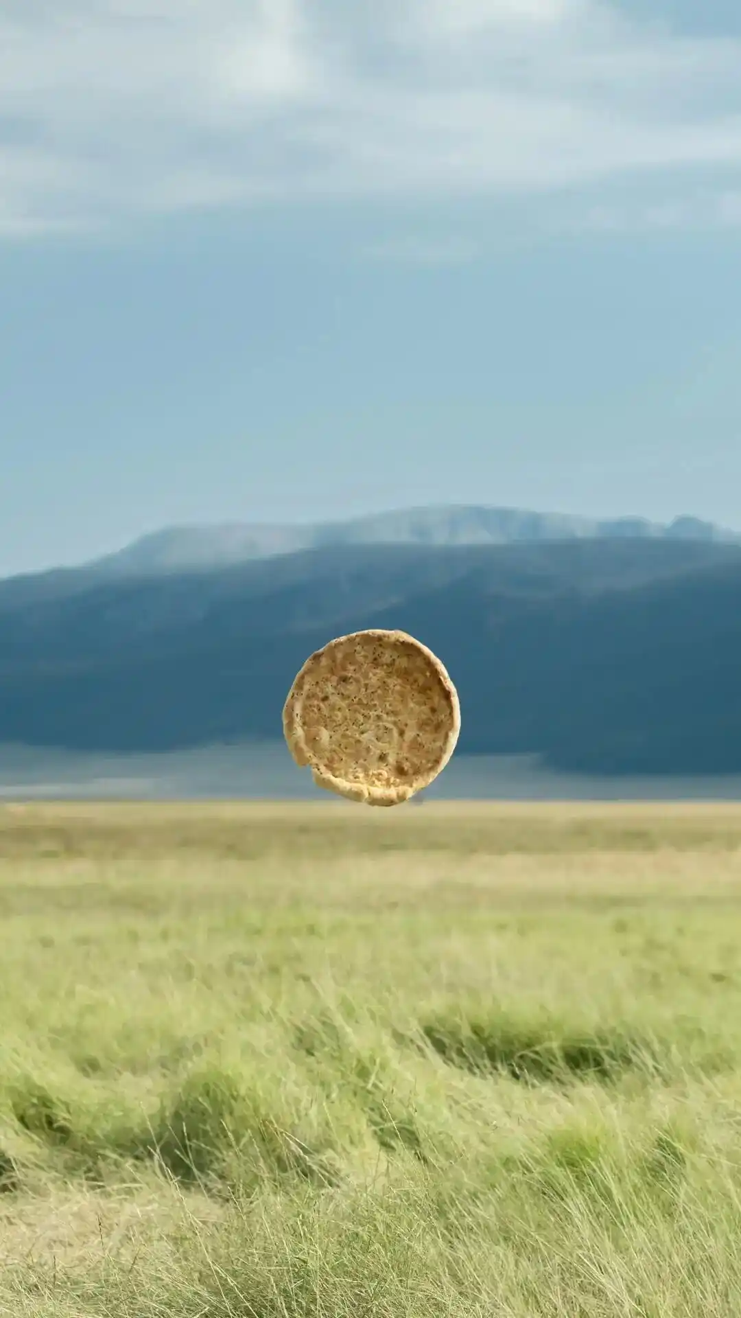 壁纸丨绿色生命力景深壁纸