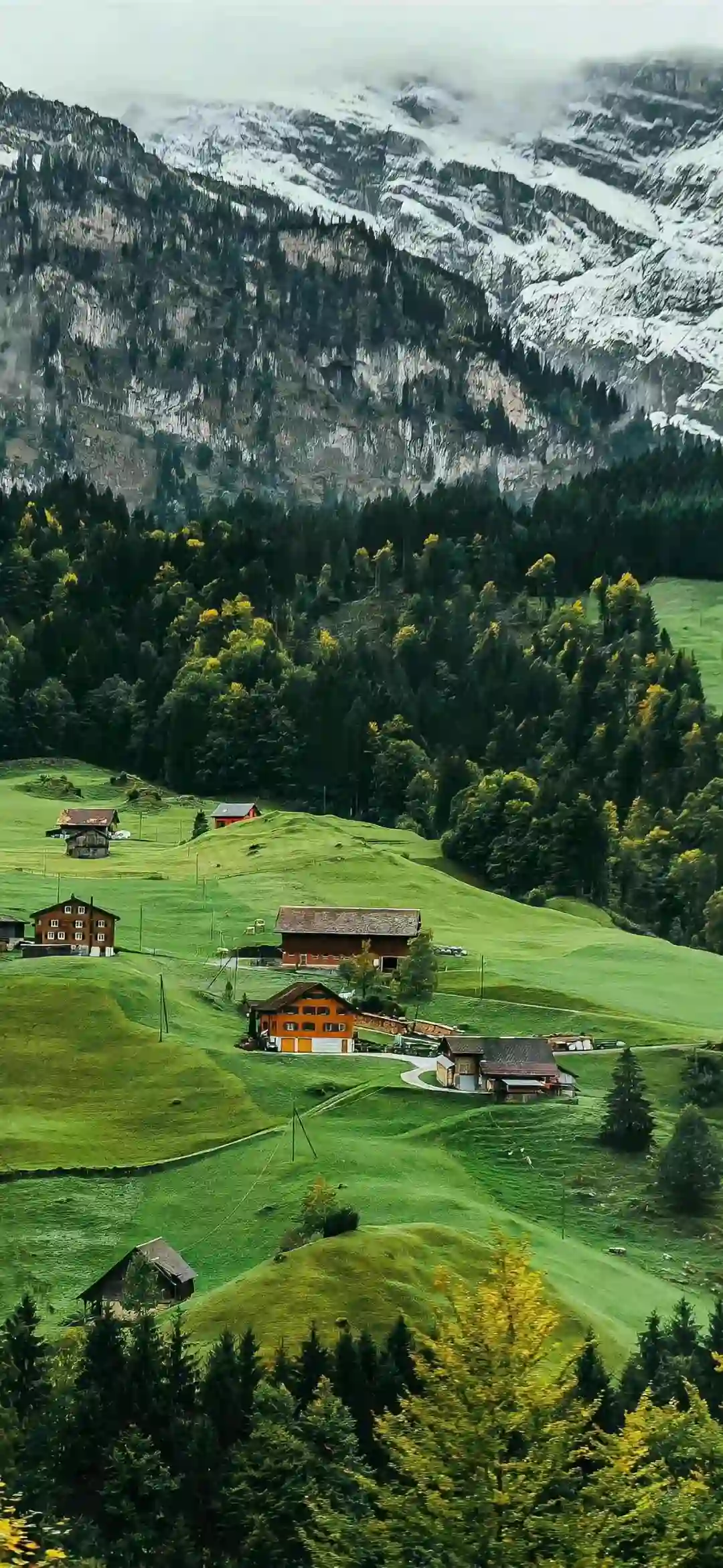 壁纸 ​​​​​​​​​​​​​| ios26景深壁纸