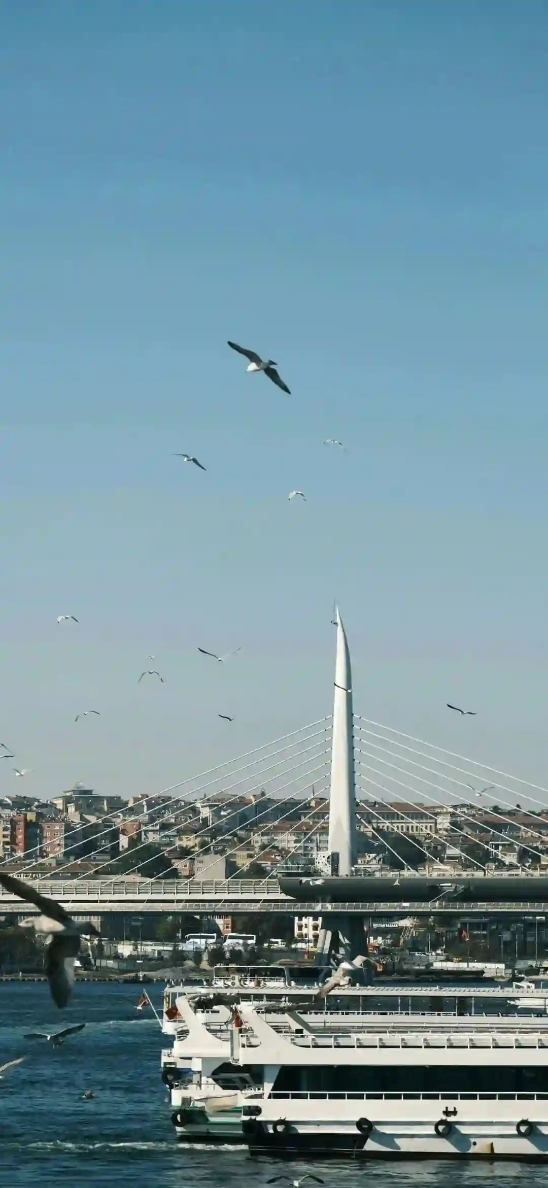 壁纸 ​​​​​​​​​​​​​| ios26景深壁纸