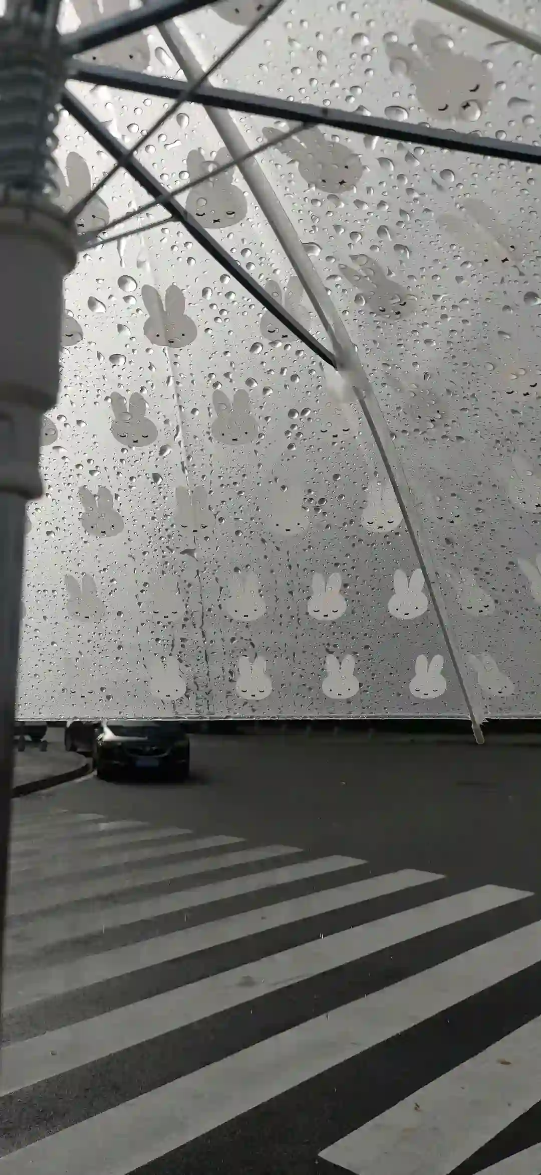 壁纸 ​​​​​​​​​​​​​| ios26景深壁纸