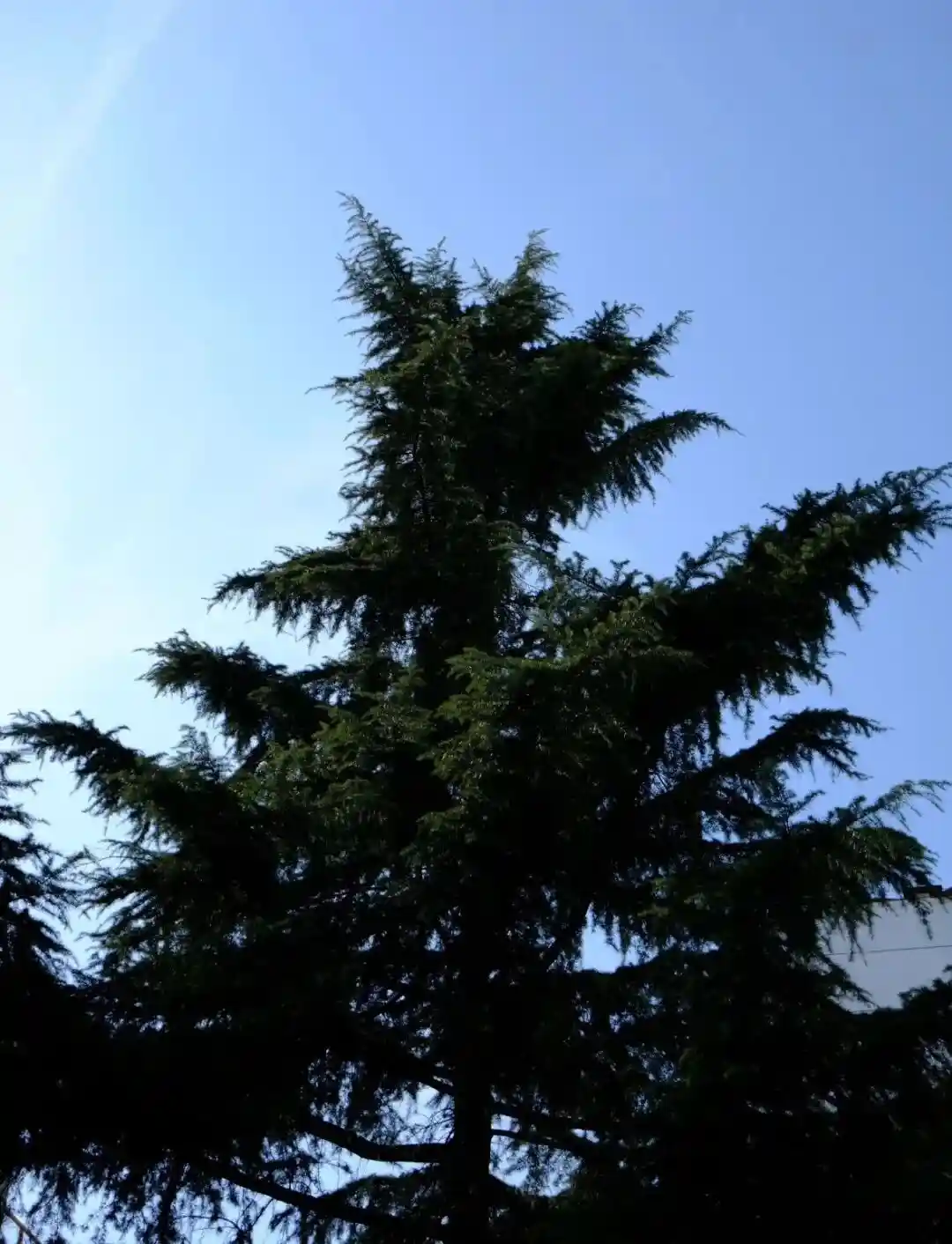 壁纸 ​​​​​​​​​​​​​| ios26景深壁纸