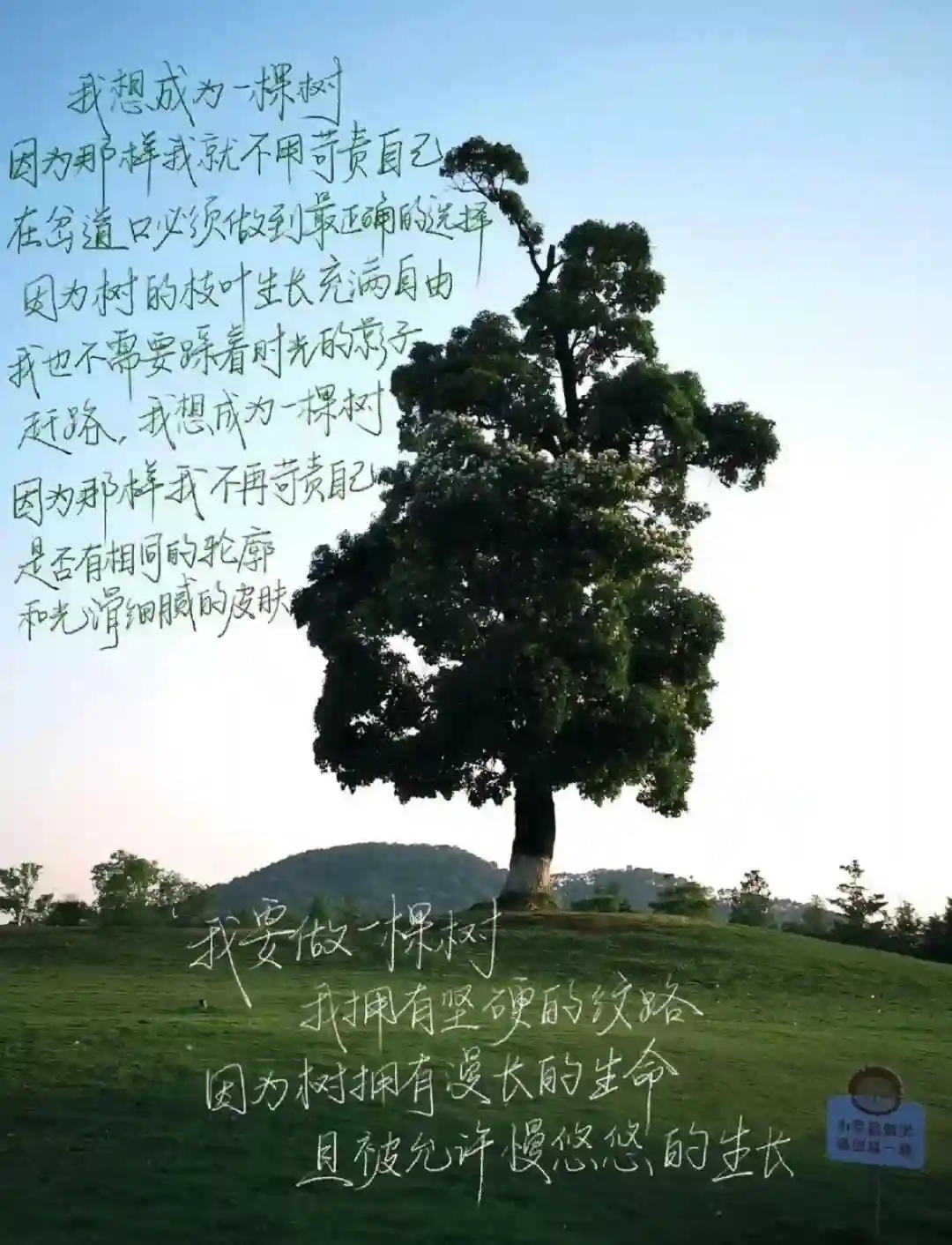 壁纸 ​​​​​​​​​​​​​| ios26景深壁纸