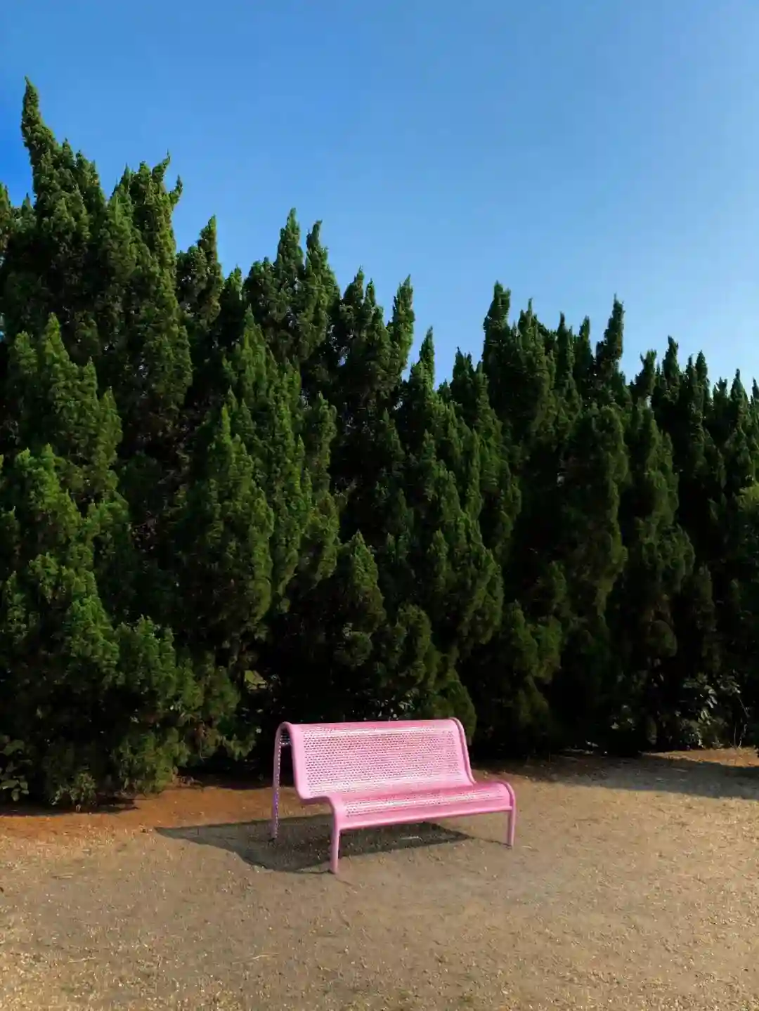 壁纸 ​​​​​​​​​​​​​| ios26景深壁纸