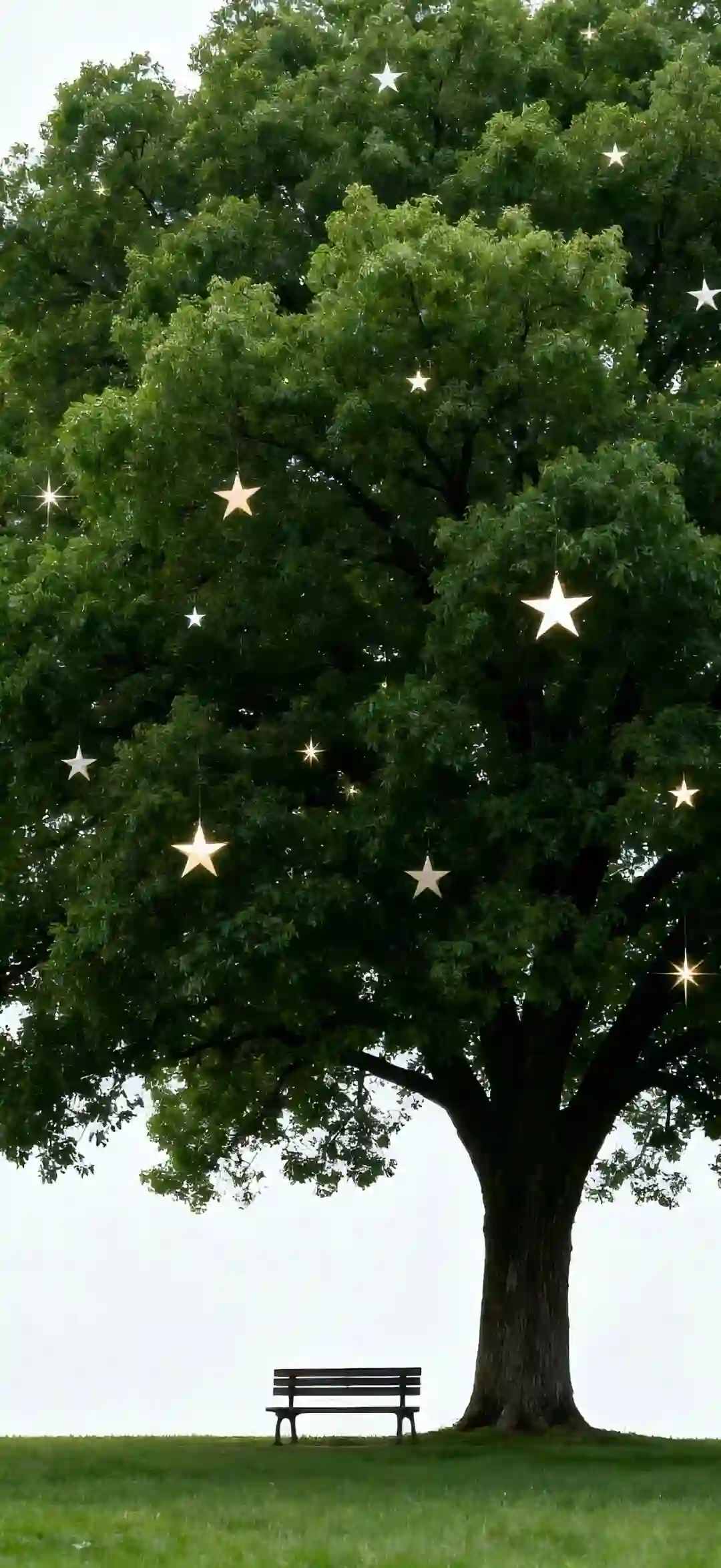 壁纸 ​​​​​​​​​​​​​| ios26景深壁纸