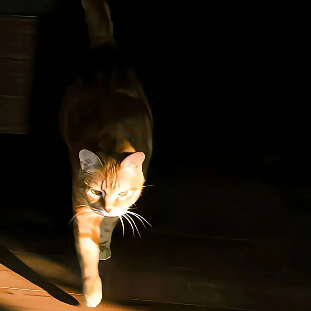 背景图 | 𝑾𝒆𝑪𝒉𝒂𝒕背景图