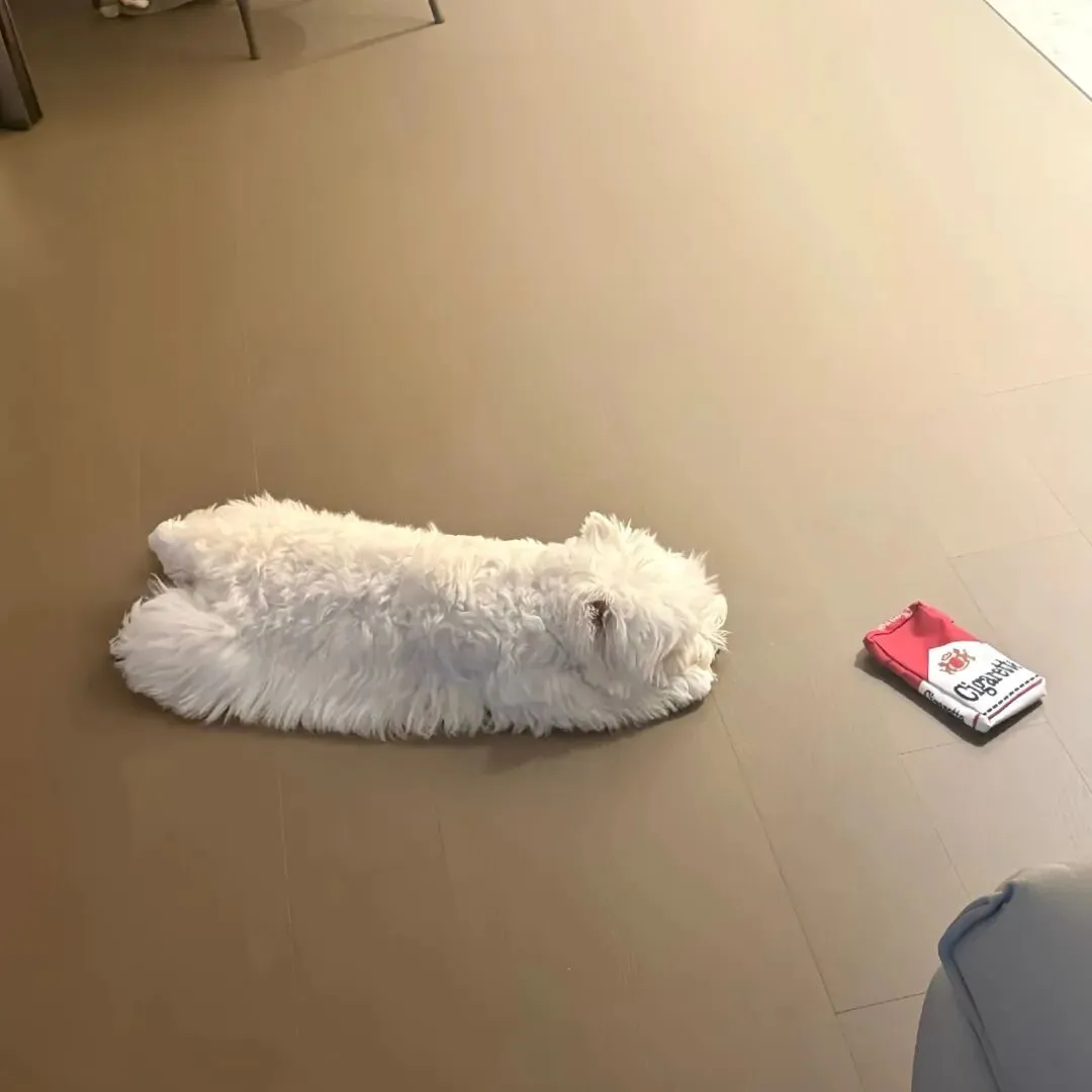 背景图 | 𝑾𝒆𝑪𝒉𝒂𝒕背景图