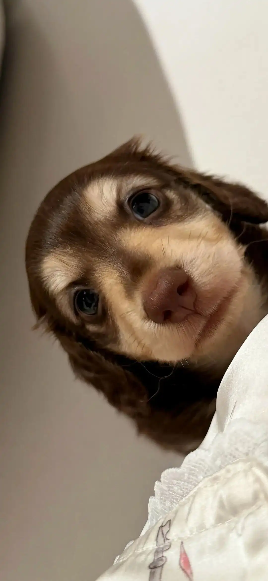 壁纸 ​​​​​​​​​​​​​| 4K全面屏超高清壁纸