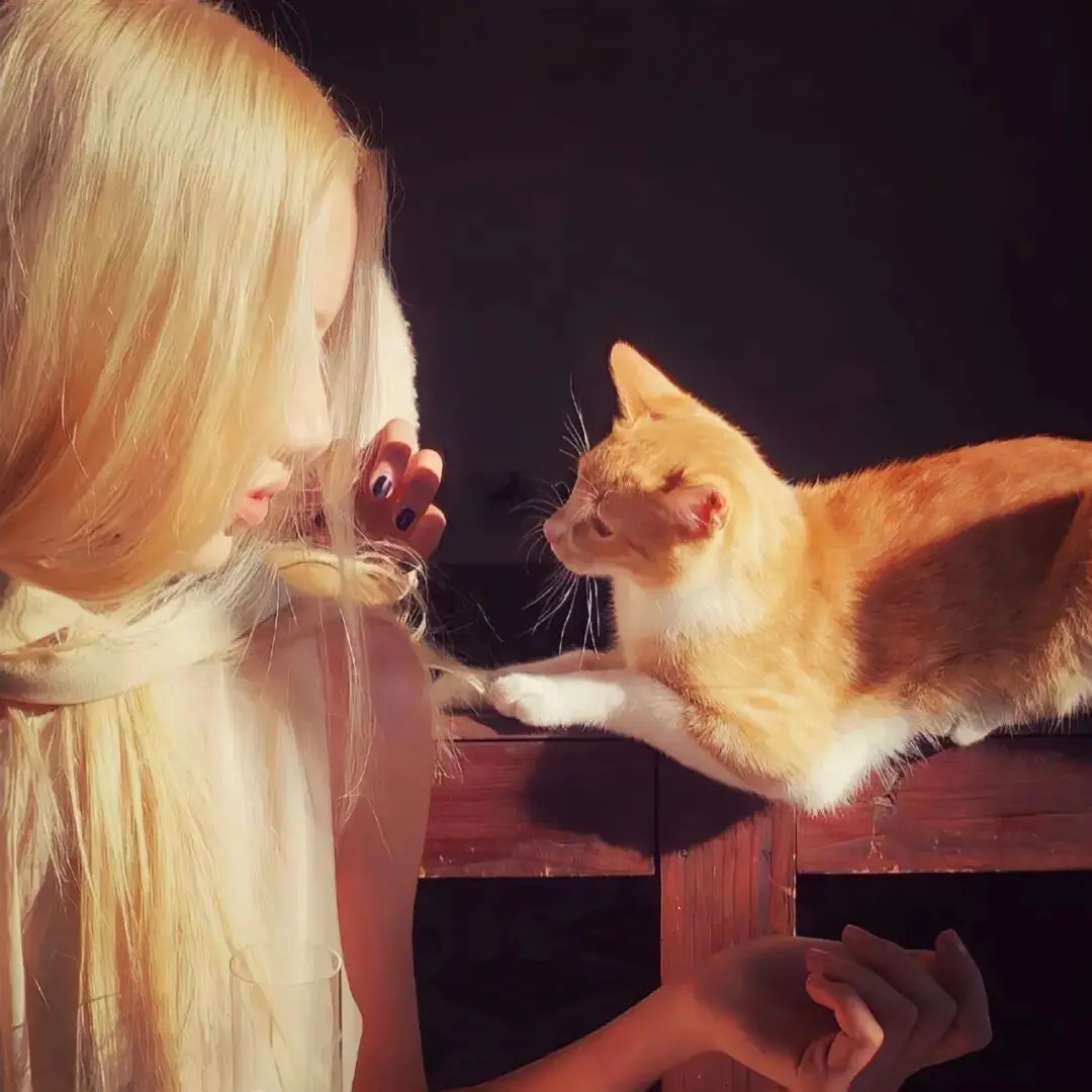 头像｜杂图𝑾𝒆𝑪𝒉𝒂𝒕头像