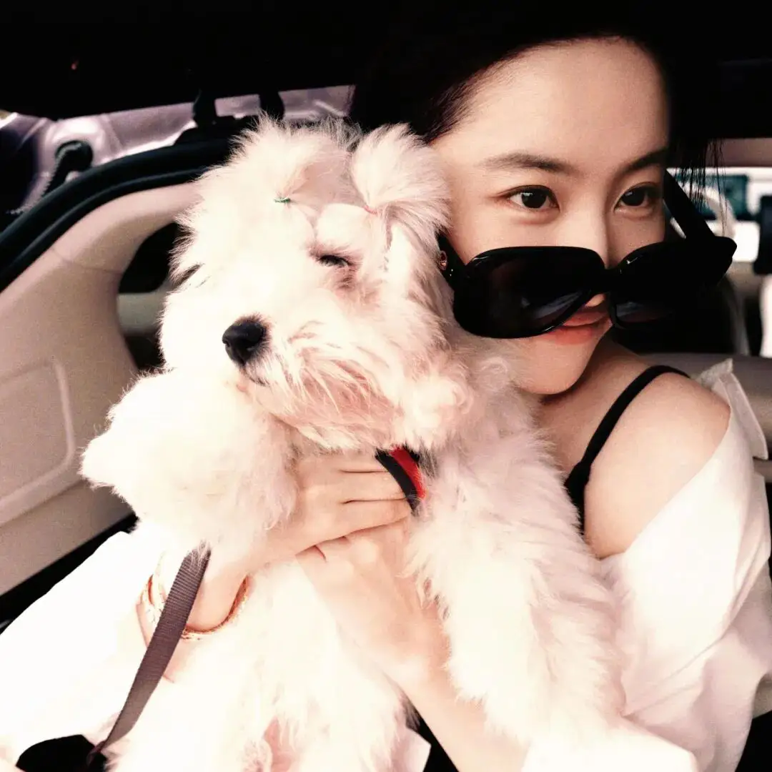 头像｜杂图𝑾𝒆𝑪𝒉𝒂𝒕头像