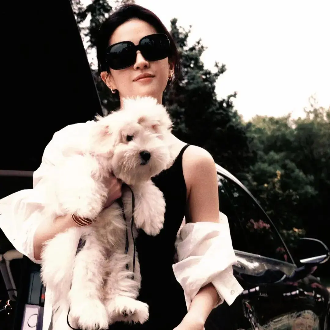 头像｜杂图𝑾𝒆𝑪𝒉𝒂𝒕头像