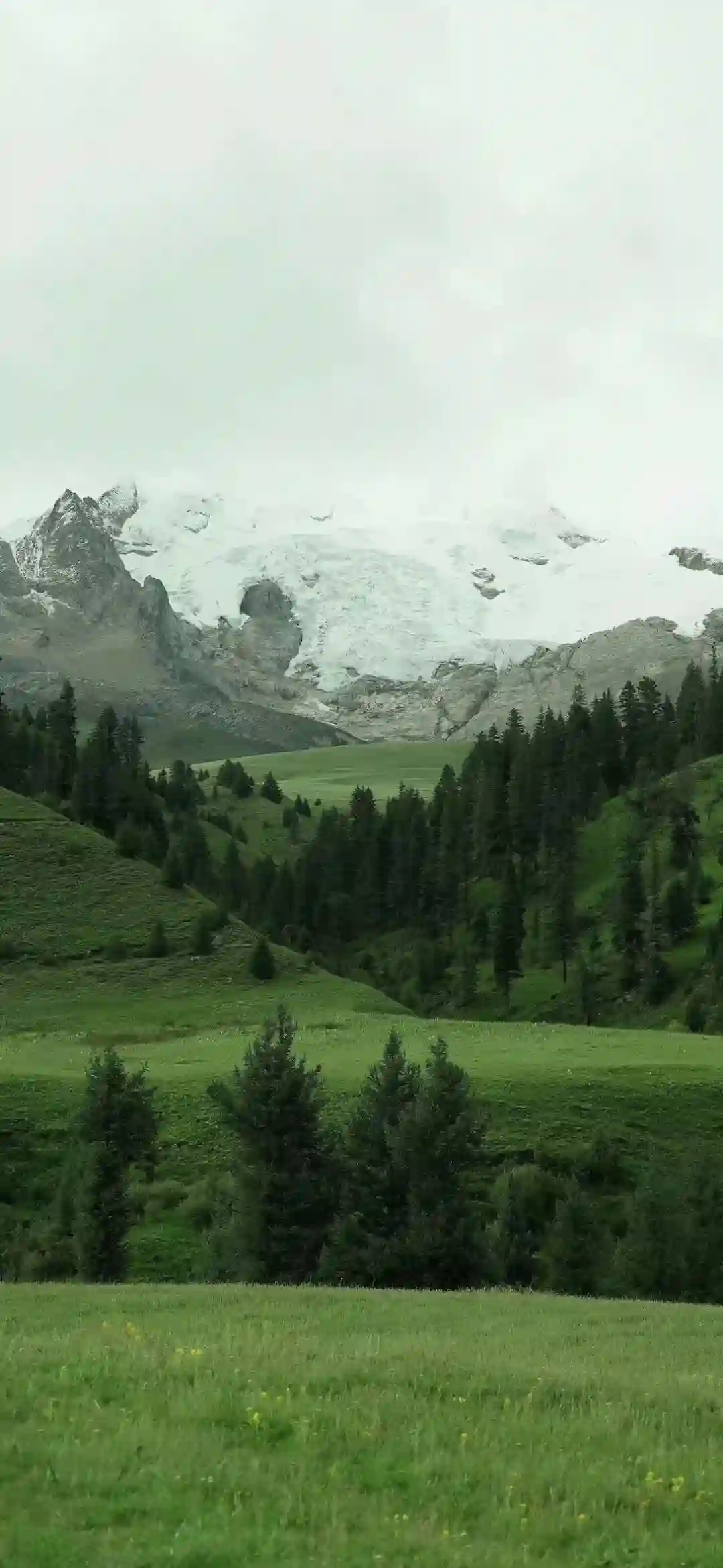 壁纸丨超绝的高清壁纸