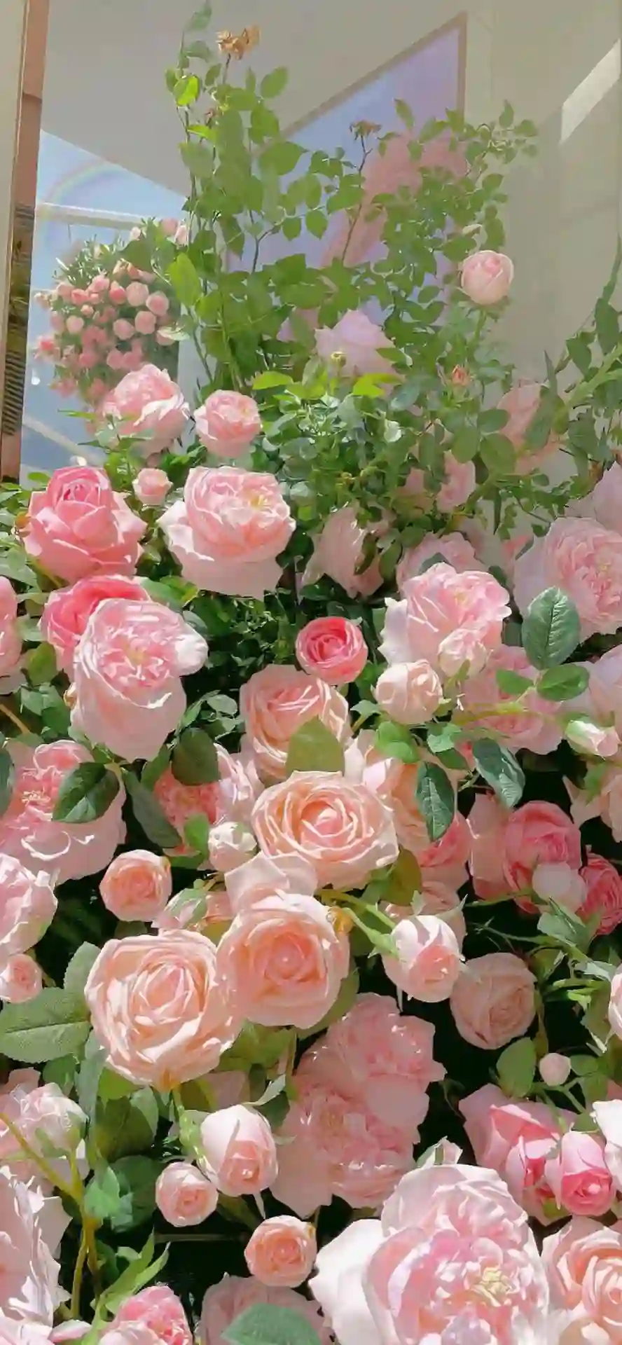 壁纸 ​​​​​​​​​​​​​| ios全屏手机壁纸