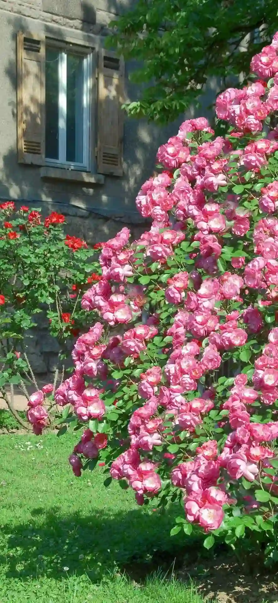 壁纸 ​​​​​​​​​​​​​| ios全屏手机壁纸