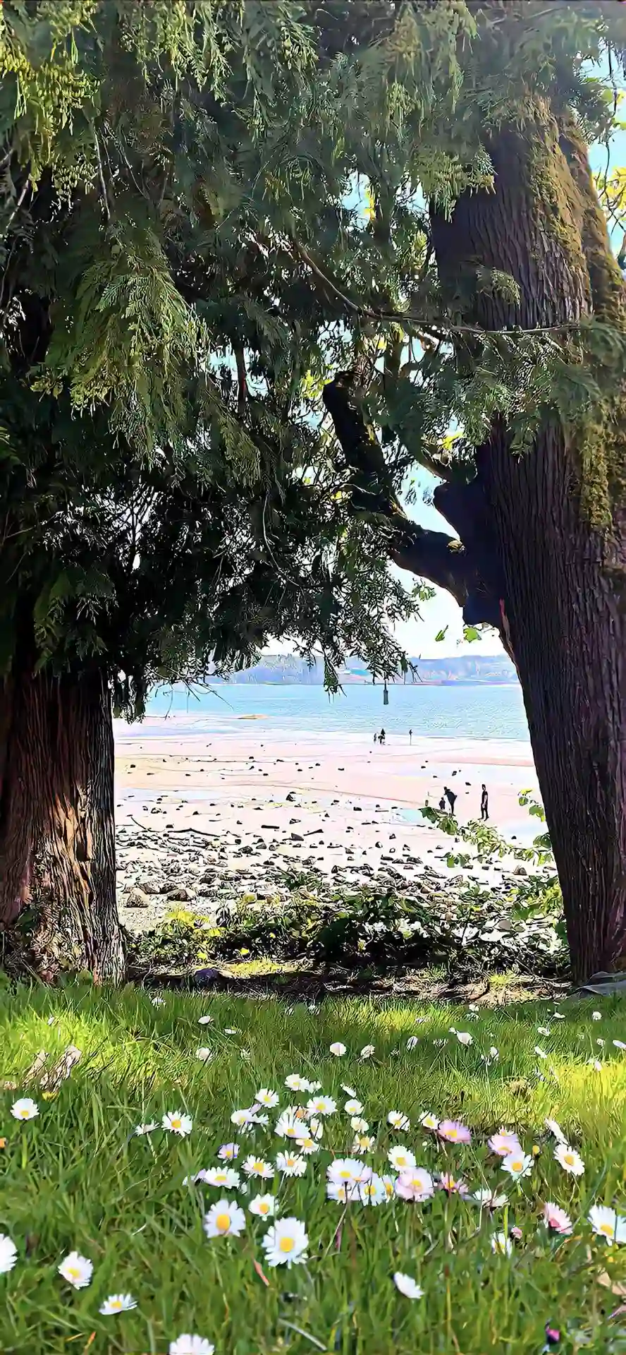 壁纸 ​​​​​​​​​​​​​| ios全屏手机壁纸