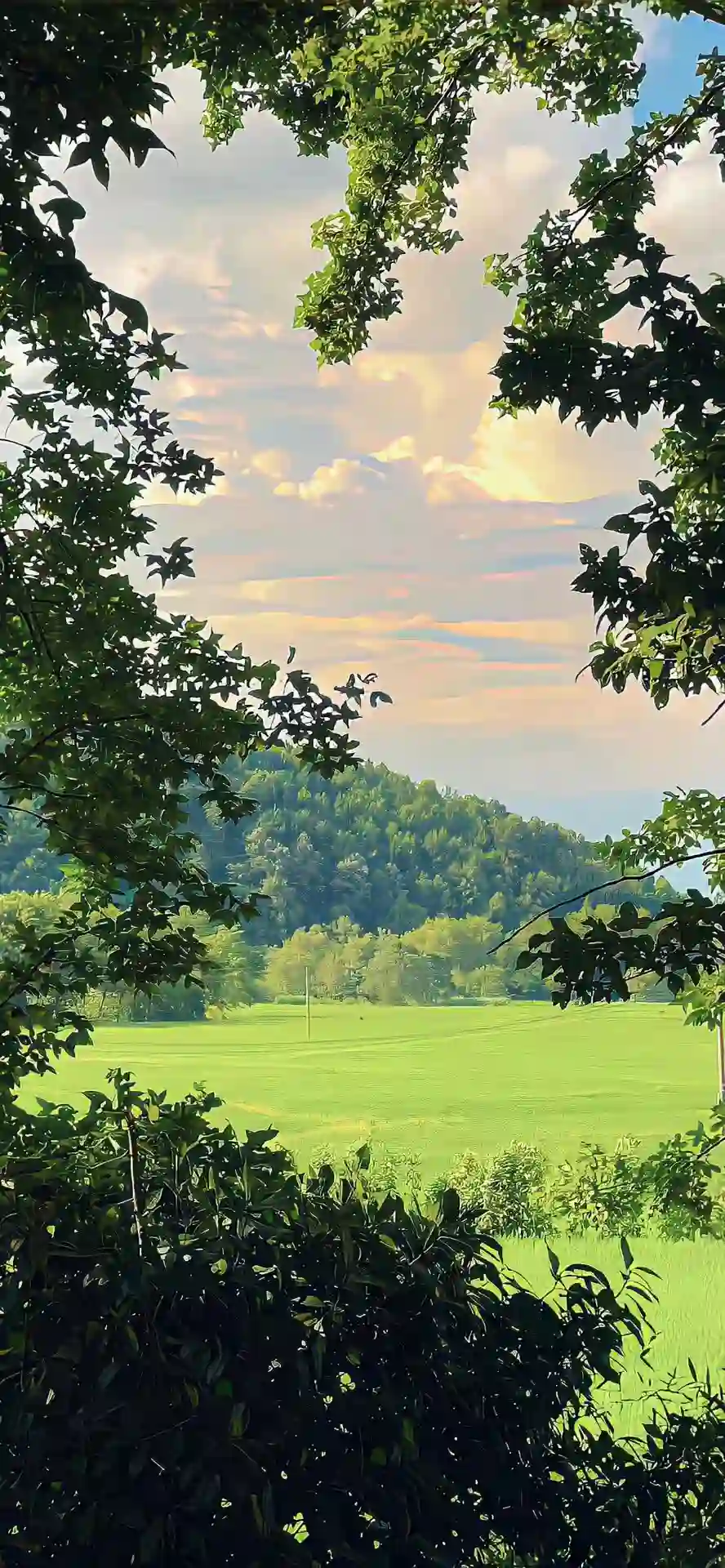 壁纸 ​​​​​​​​​​​​​| ios全屏手机壁纸