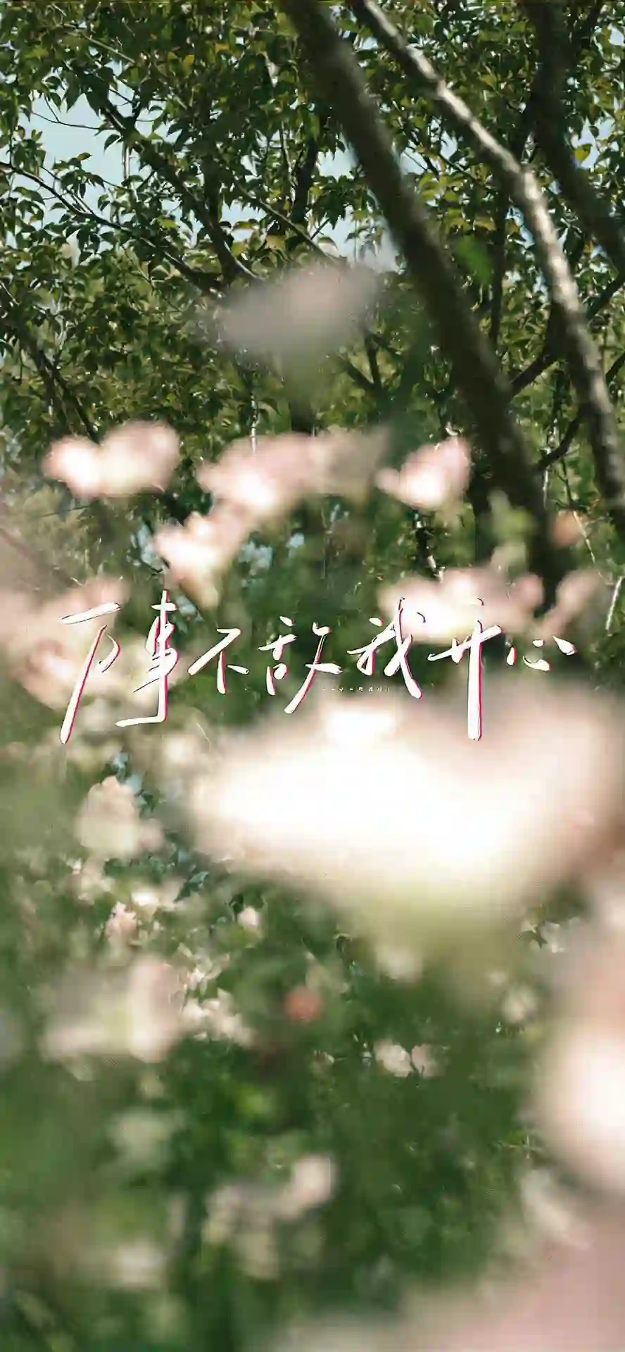 壁纸 ​​​​​​​​​​​​​| ios全屏手机壁纸