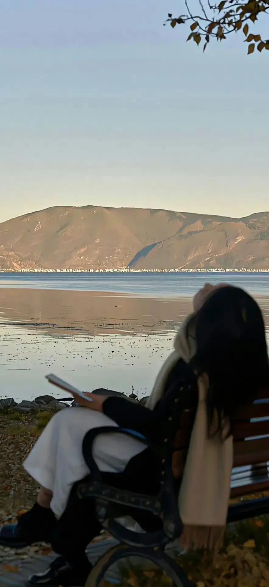 壁纸 ​​​​​​​​​​​​​| ios全屏手机壁纸