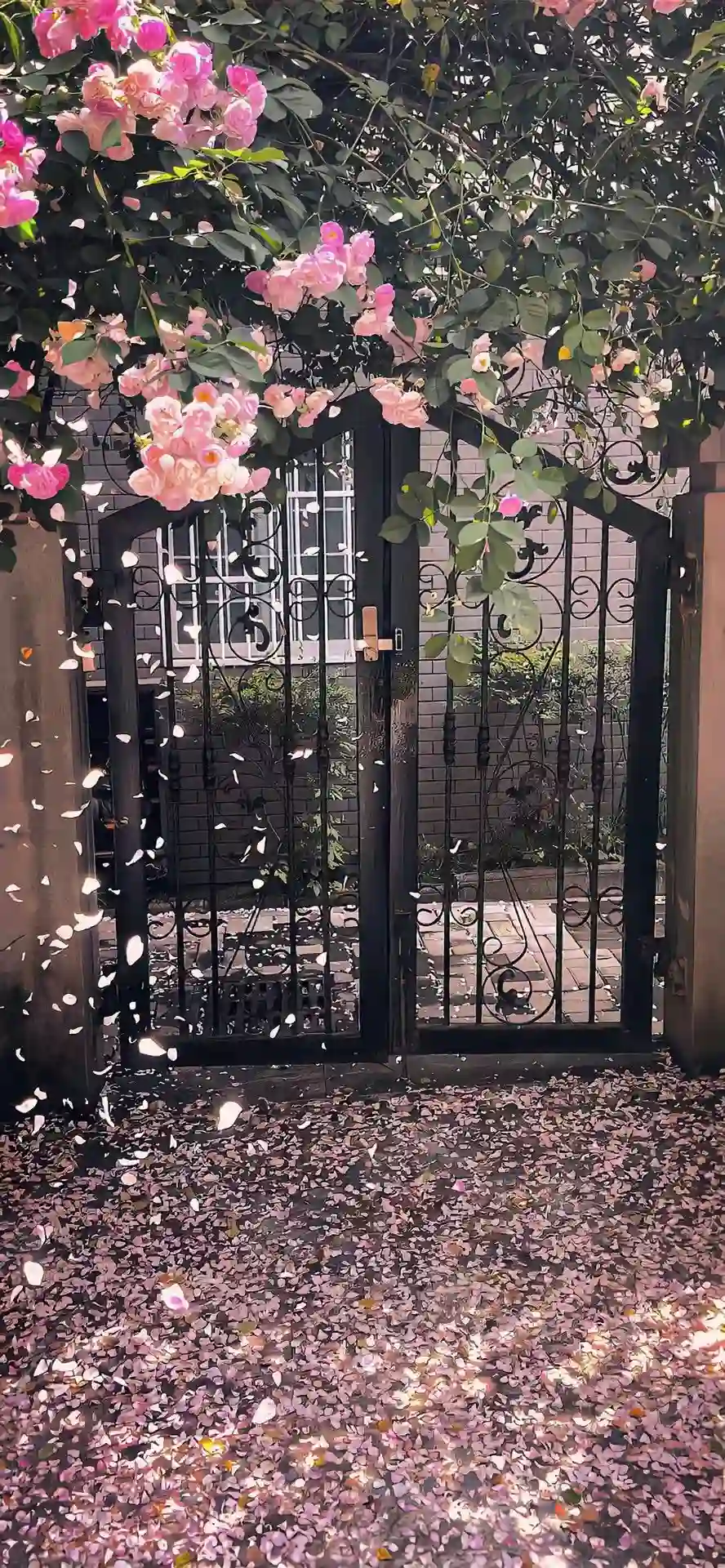 壁纸 ​​​​​​​​​​​​​| ios全屏手机壁纸