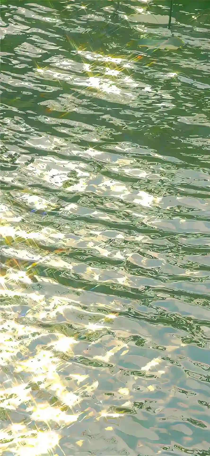 壁纸 ​​​​​​​​​​​​​| ios全屏手机壁纸