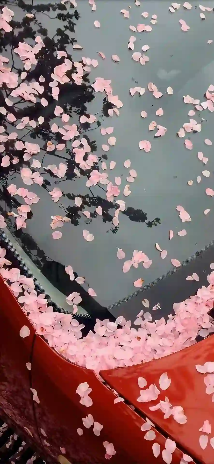 壁纸 ​​​​​​​​​​​​​| ios全屏手机壁纸