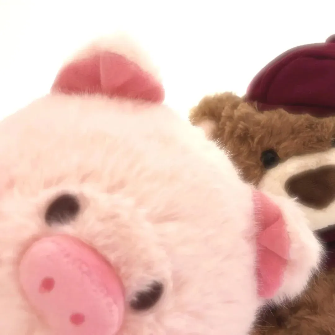 头像｜长期不换各种社交头像