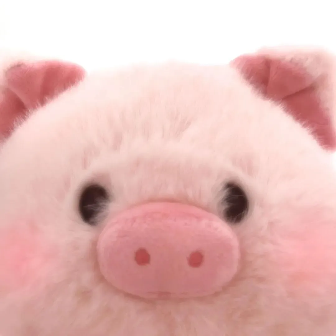 头像｜长期不换各种社交头像