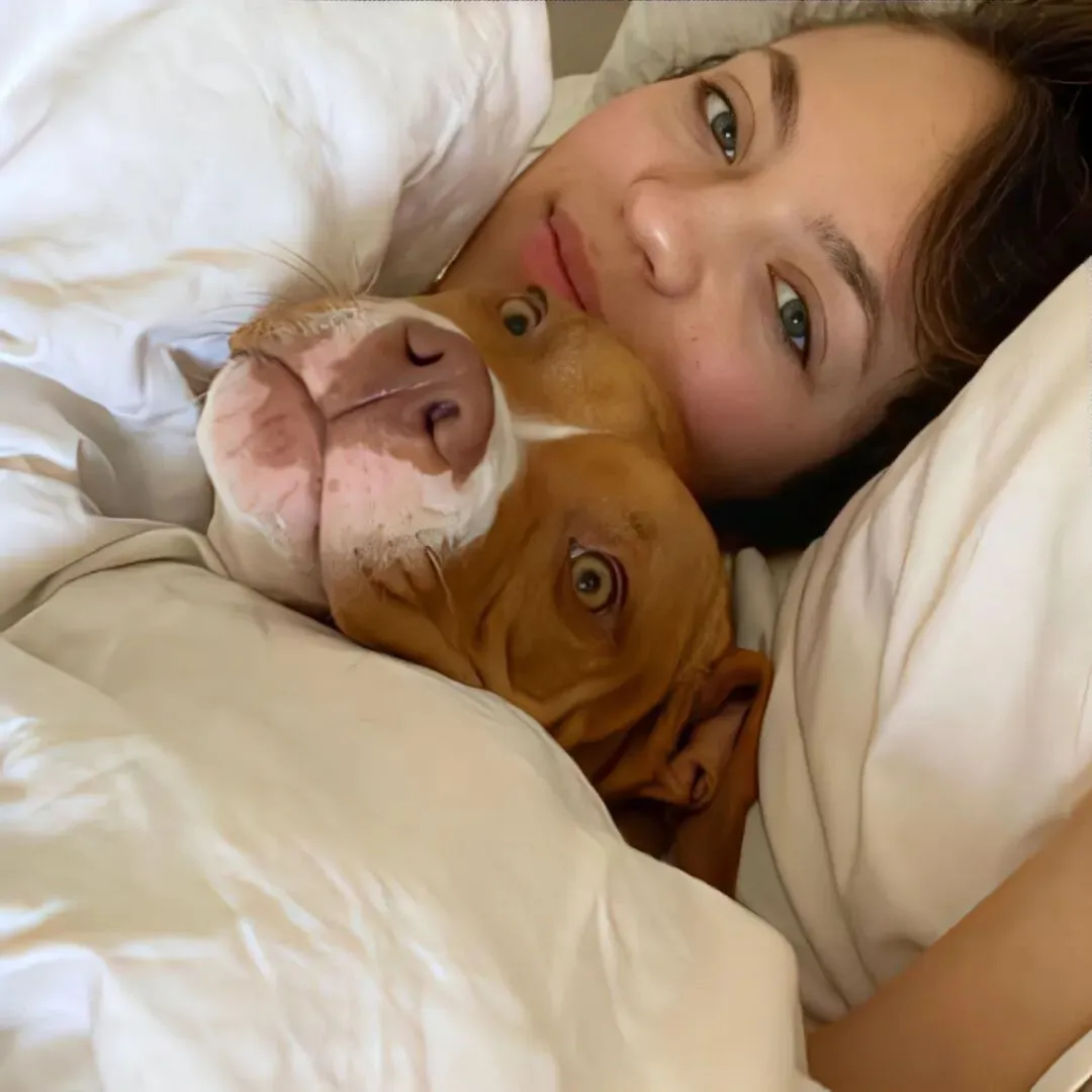 头像｜长期不换各种社交头像