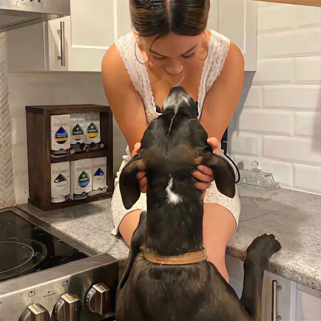 头像｜长期不换各种社交头像