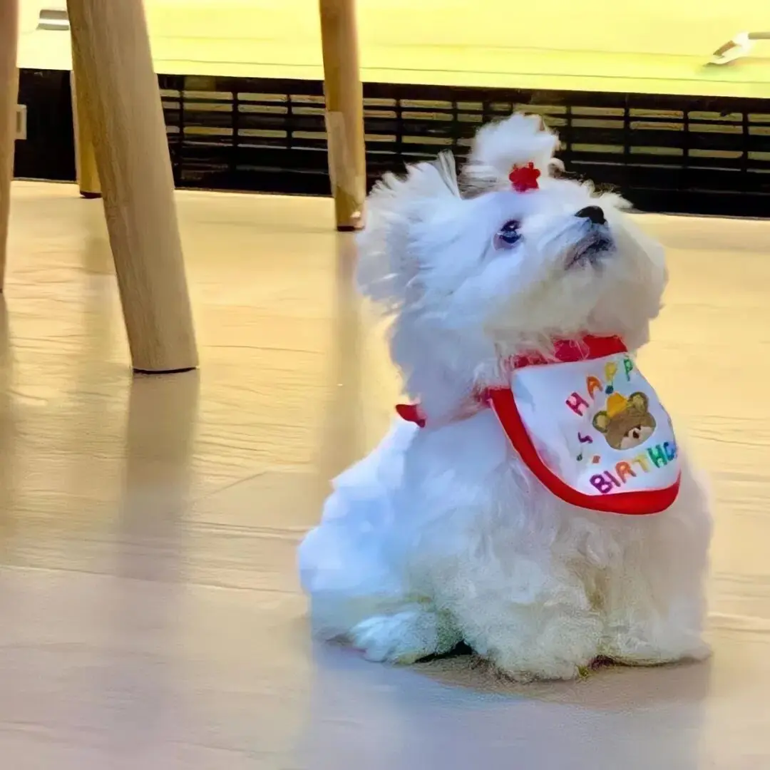 头像｜长期不换各种社交头像