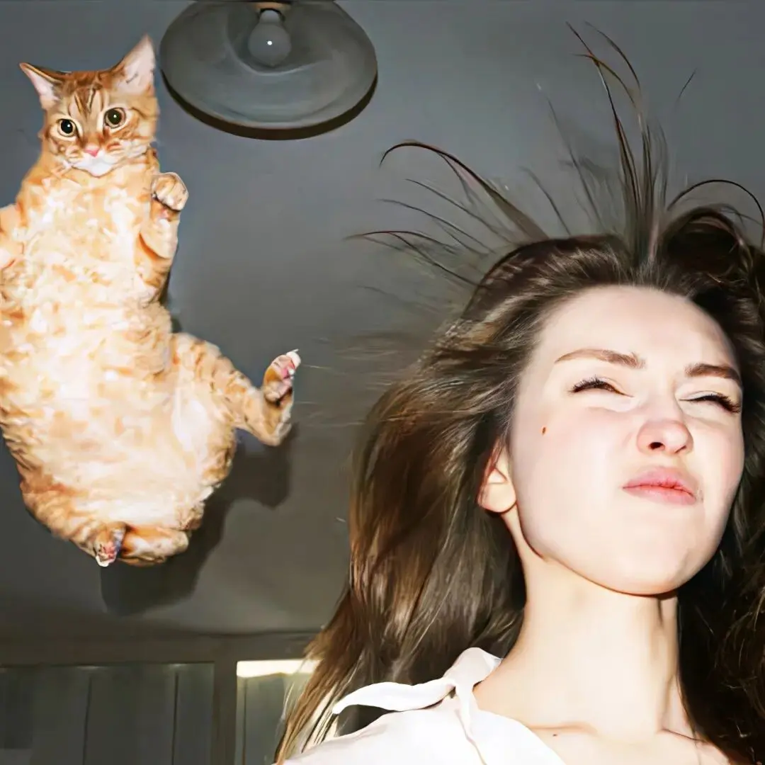 头像｜𝙒𝙚𝘾𝙝𝙖𝙩头像24张