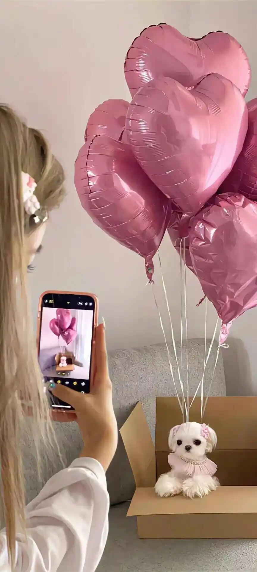 壁纸​​​​​​​​​​​​​｜4K全面屏超高清壁纸