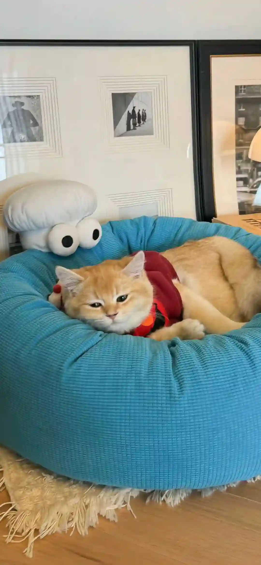 壁纸​​​​​​​​​​​​​｜4K全面屏超高清壁纸