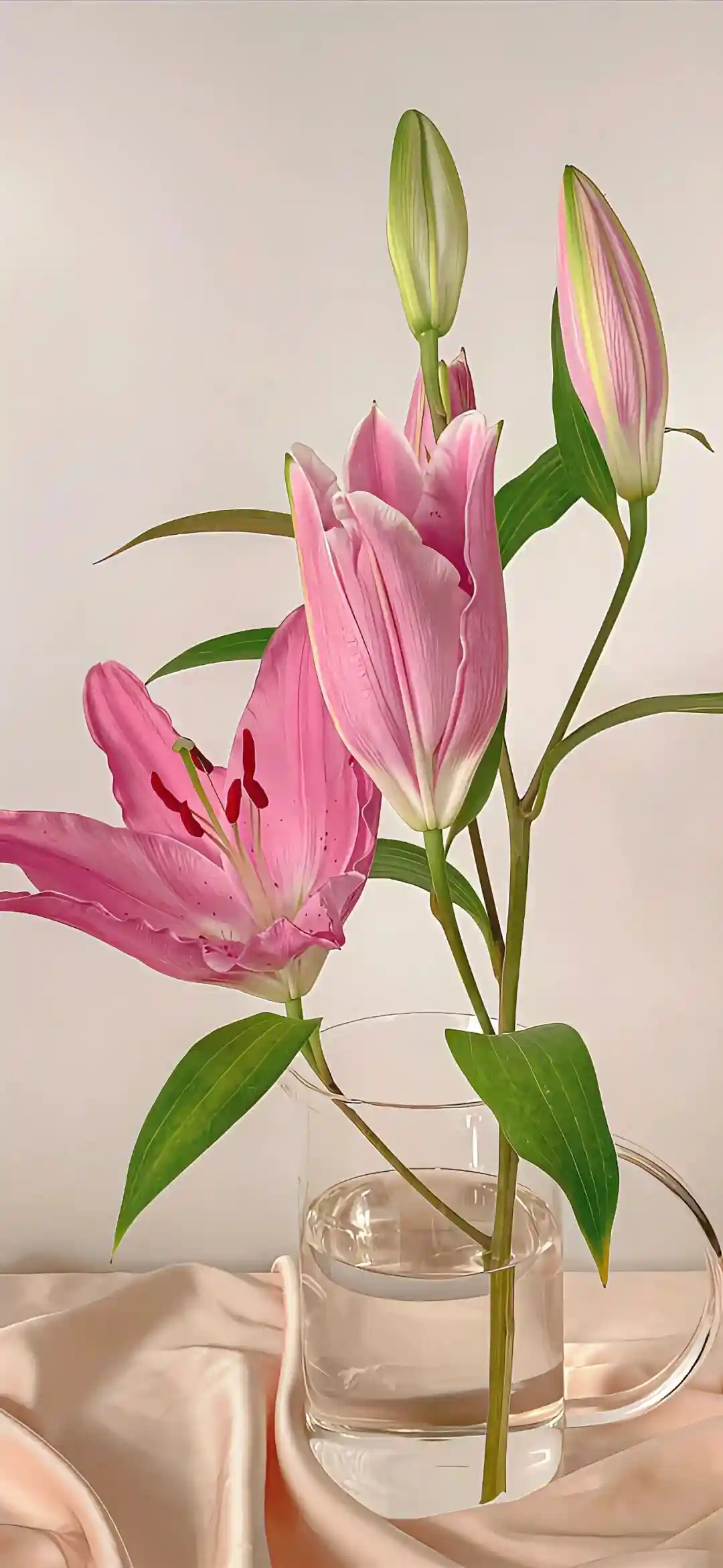 壁纸​​​​​​​​​​​​​｜4K全面屏超高清壁纸