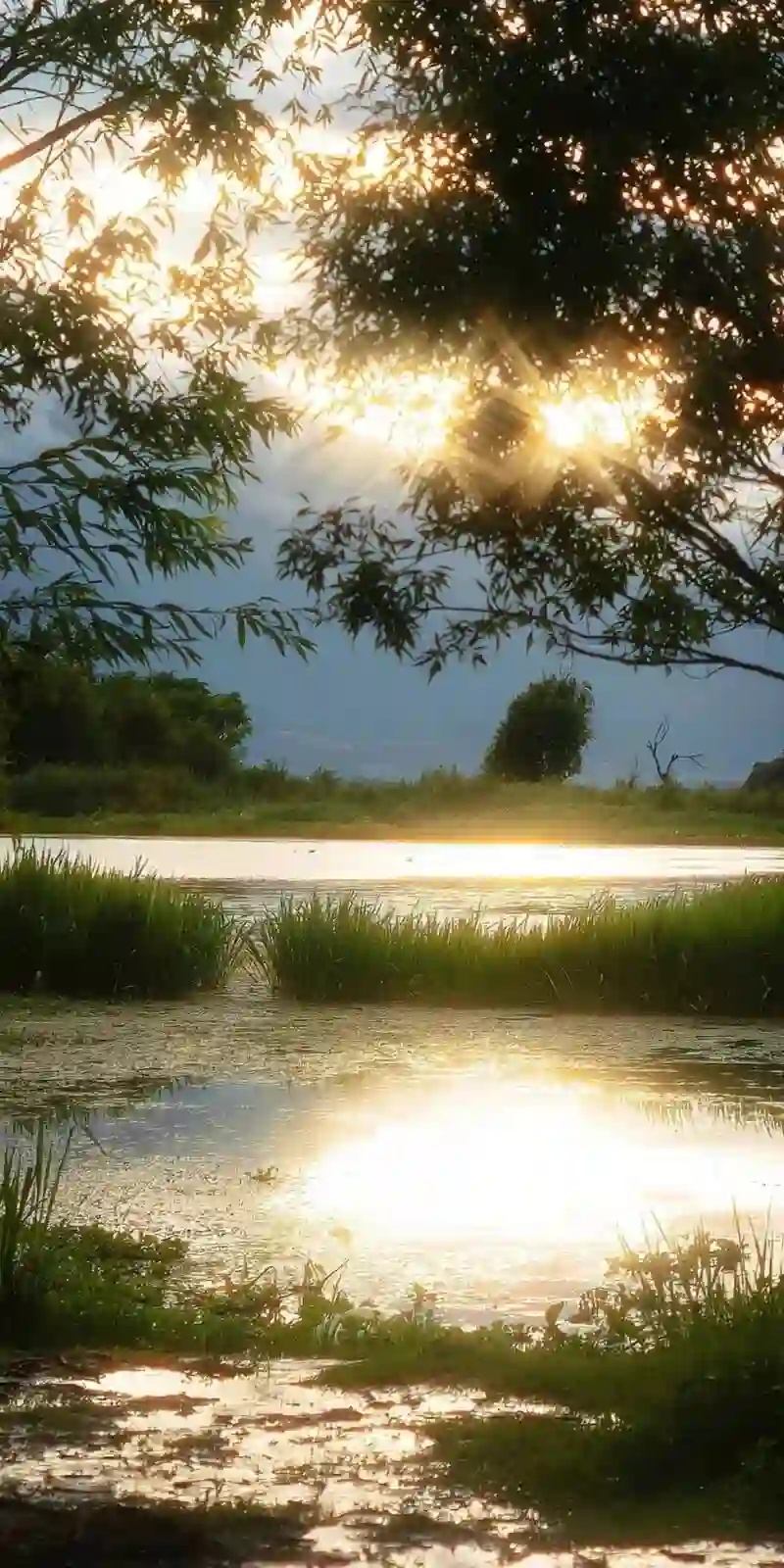 壁纸​​​​​​​​​​​​​｜4K全面屏超高清壁纸