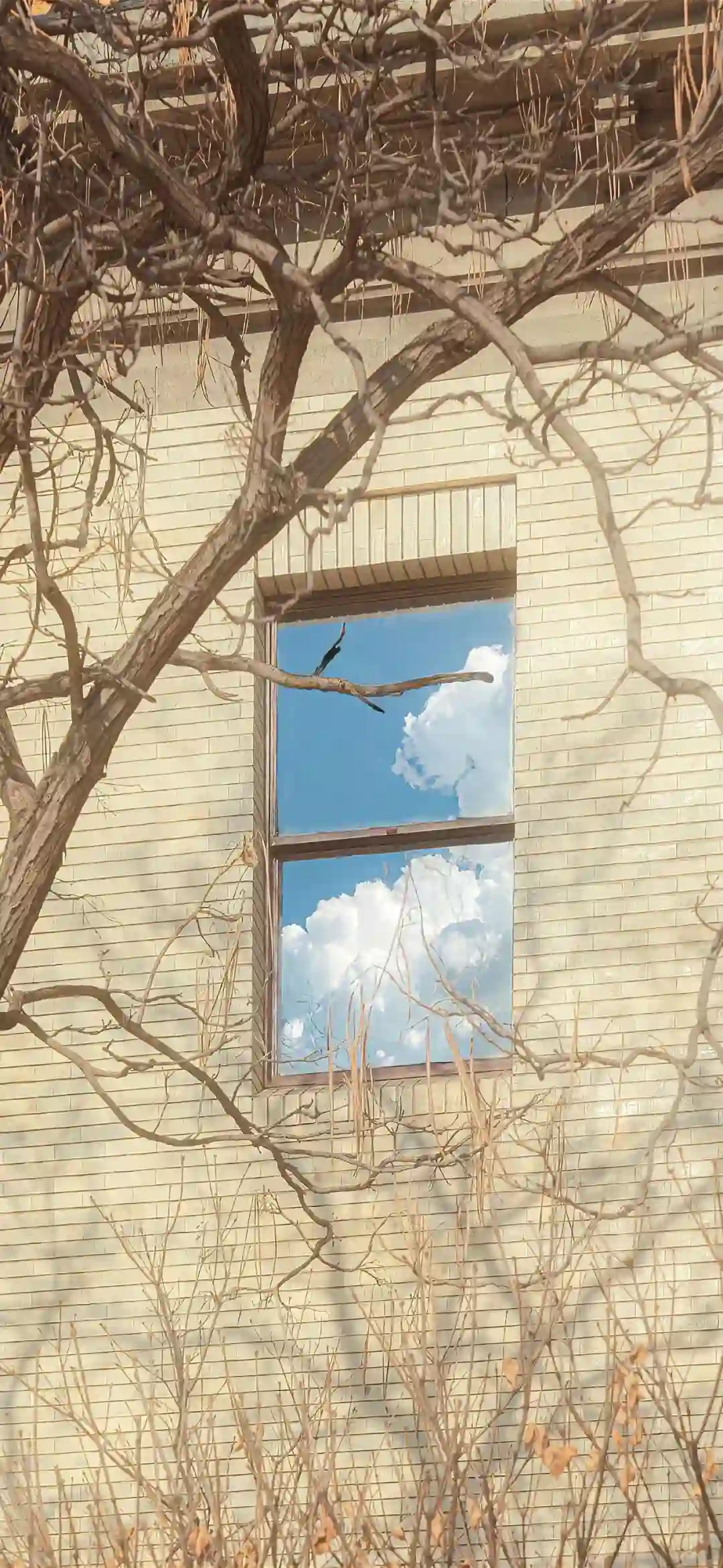 壁纸​​​​​​​​​​​​​｜4K全面屏超高清壁纸