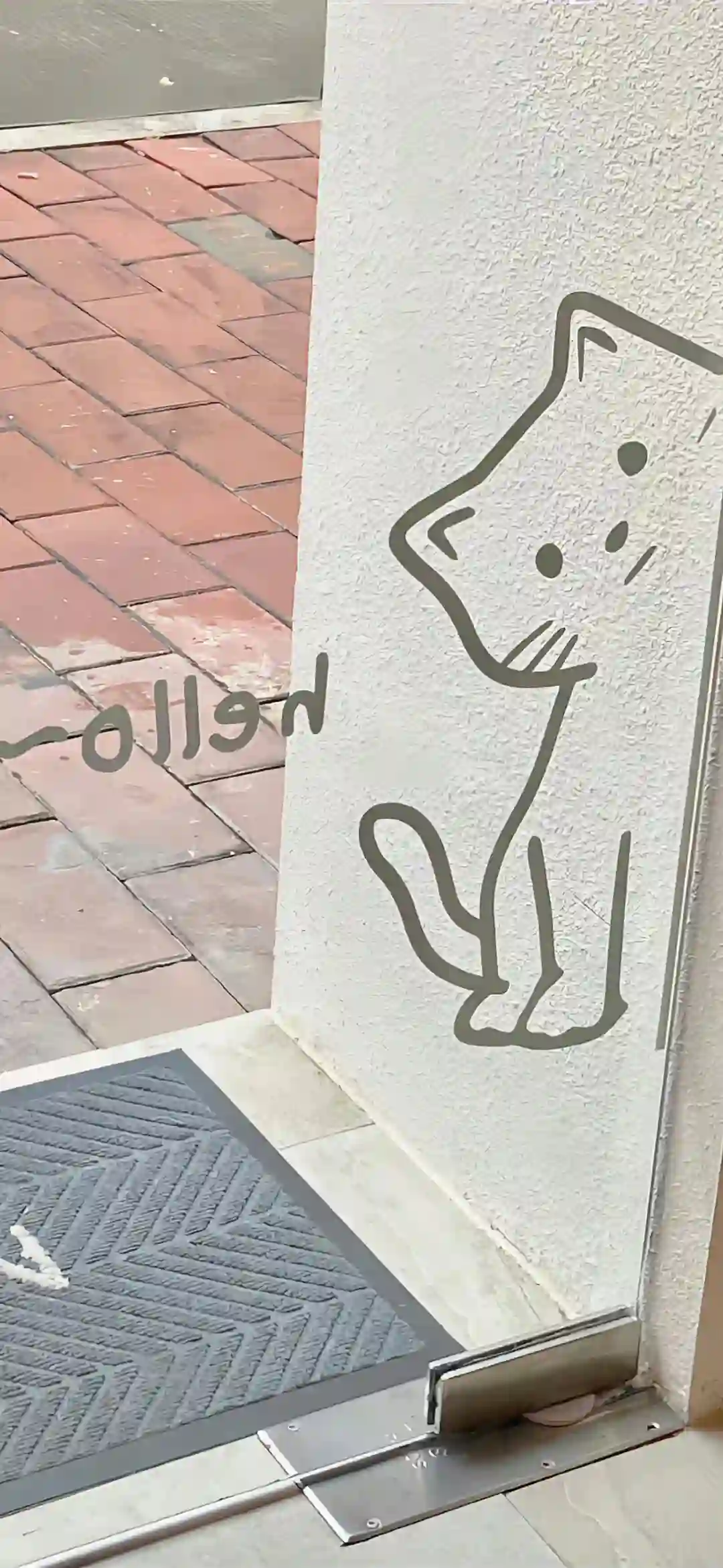 壁纸​​​​​​​​​​​​​｜4K全面屏超高清壁纸