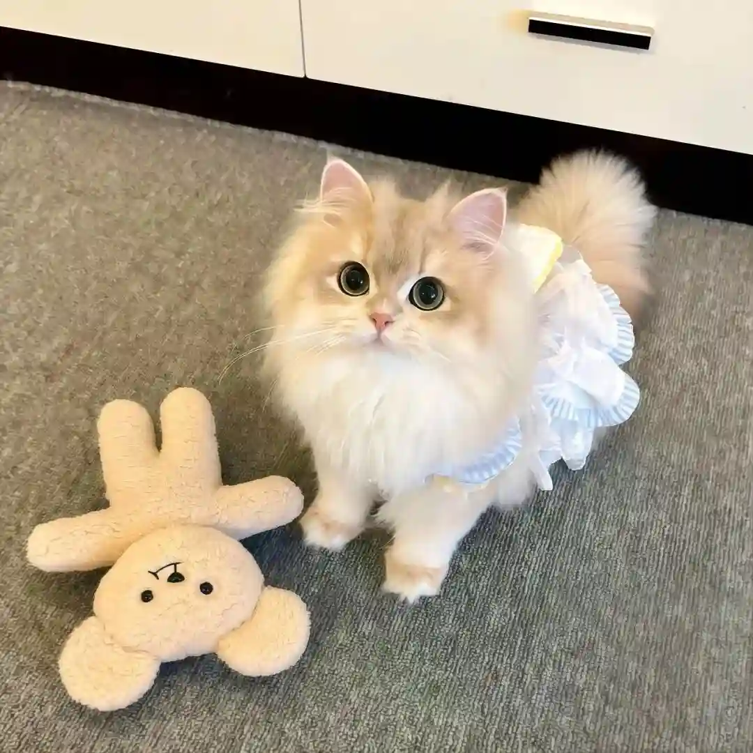 背景图 | 𝑾𝒆𝑪𝒉𝒂𝒕背景图