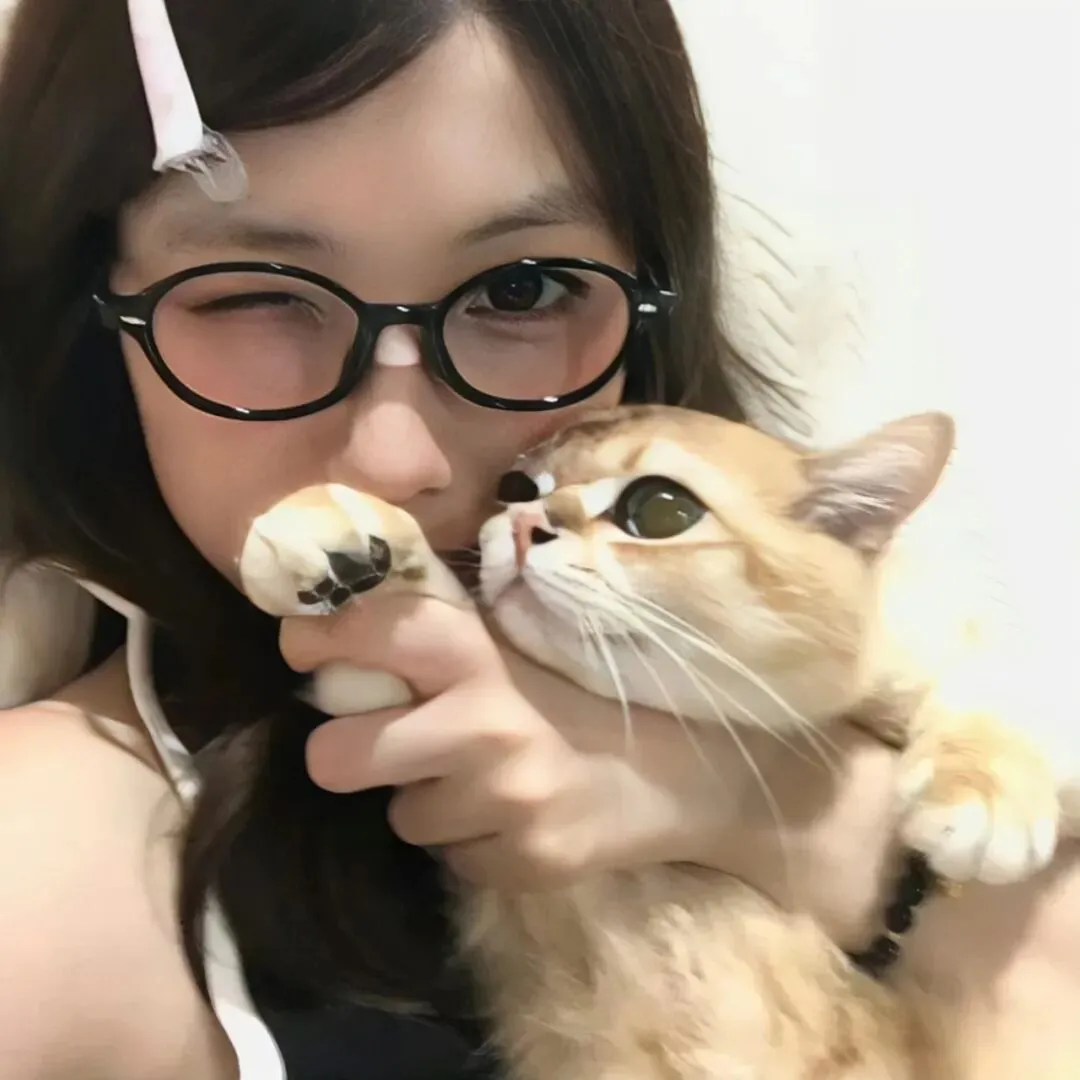 头像｜适合长期不换的头像